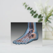 Menschenfett mit Nervensystem 1 Postkarte (Stehend Vorderseite)