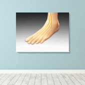 Menschenfett mit Nervensystem 2 Leinwanddruck (Insitu (Holzboden))