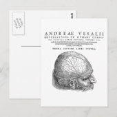 Menschenschädel Postkarte (Vorne/Hinten)