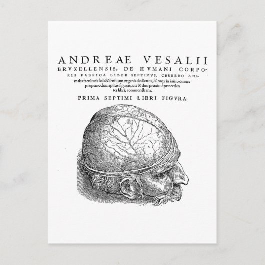 Menschenschädel Postkarte (Vorderseite)