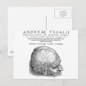 Menschenschädel Postkarte (Vorne/Hinten)