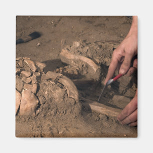 Menschlich bleibt magnet