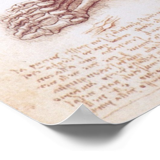 Menschliche Anatomie der Foot Bones von Leonardo d Poster (Ecke)