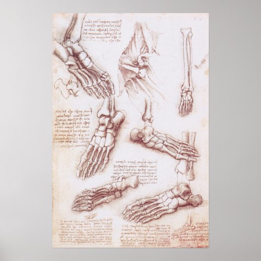 Menschliche Anatomie der Foot Bones von Leonardo d Poster (Vorne)