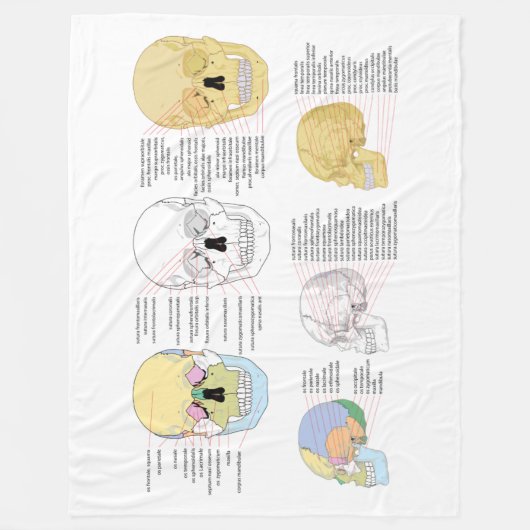 Menschliche Anatomie illustrierter Schädel Fleecedecke (Vorderseite)