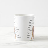 Menschliche Anatomie Kaffeetasse (Mittel)