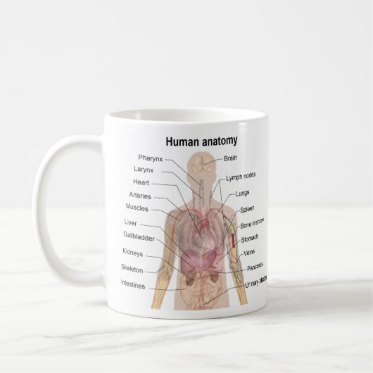 Menschliche Anatomie Kaffeetasse (Links)