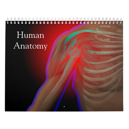 Menschliche Anatomie Kalender (Titelbild)