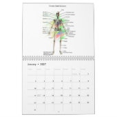 Menschliche Anatomie Kalender (Jan 2027)