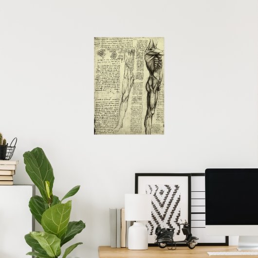Menschliche Anatomie Männliche Muskeln von Leonard Poster (Heimbüro)