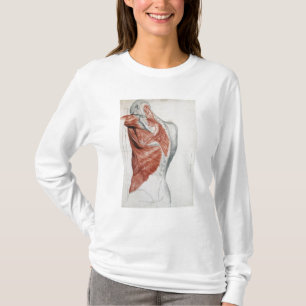 Menschliche Anatomie; Muskeln des Torsos und der T-Shirt