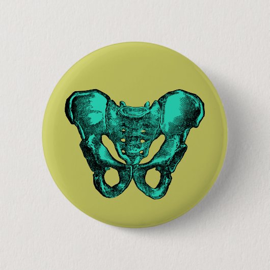 Menschliche Anatomie-Pelvis-Knochen Button (Vorderseite)