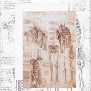 Menschliche Anatomie Skelettknochen von Leonardo d