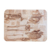 Menschliche Anatomie Skelettknochen von Leonardo d Magnet (Horizontal)