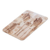 Menschliche Anatomie Skelettknochen von Leonardo d Magnet (Linke Seite)