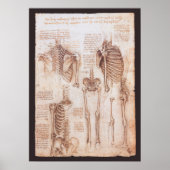 Menschliche Anatomie Skelettknochen von Leonardo d Poster (Vorne)