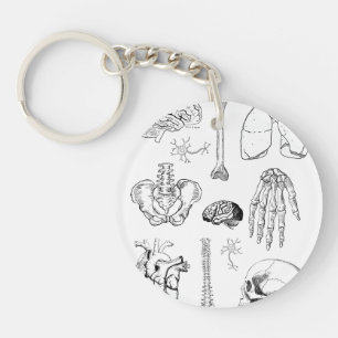 Menschliche Anatomie Vintage-Medizinillustrations- Schlüsselanhänger