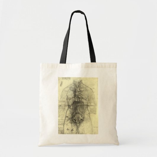 Menschliche Anatomie, weibliche Torso von Leonardo Tragetasche (Vorne)