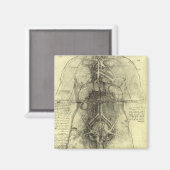 Menschliche Anatomie, weiblicher Torso von Leonard Magnet (Vorderseite/Rückseite)