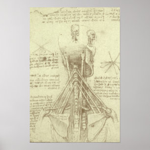 Menschliche Anatomie Wirbelsäule von Leonardo da V Poster