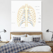 Menschliche Brust Anatomie Leinwanddruck (Insitu (Schlafzimmer))