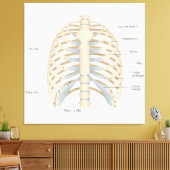 Menschliche Brust Anatomie Leinwanddruck (Insitu (Wohnzimmer))