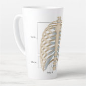 Menschliche Brust Anatomie Milchtasse (Linke Ecke)
