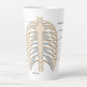 Menschliche Brust Anatomie Milchtasse (Vorderseite)