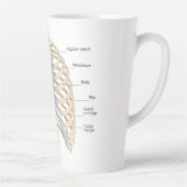 Menschliche Brust Anatomie Milchtasse (Rechts)