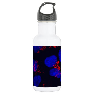 Menschliche embryonale Stammzellen Edelstahlflasche