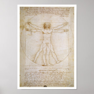 Menschliche Figur im Kreis, illustrierende Proport Poster