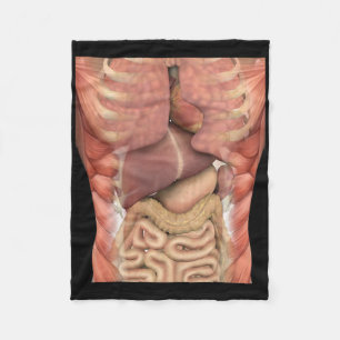 Menschliche Muskeln Organe Gruselige Anatomie Lehr Fleecedecke