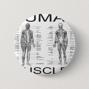 Menschliche Muskeln und Anatomie Button
