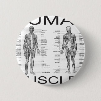 Menschliche Muskeln und Anatomie Button