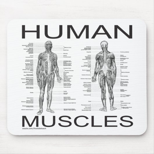 Menschliche Muskeln und Anatomie Mousepad (Vorne)