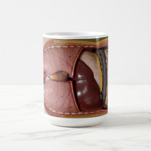 Menschliche Organe, der Thorax Kaffeetasse (Mittel)