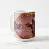 Menschliche Organe, der Thorax Kaffeetasse (Vorderseite Links)