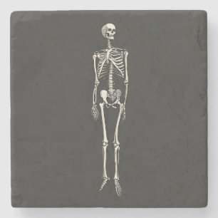 Menschliche Skelettanatomie Pop-Art-Comic-Zeichnun Steinuntersetzer