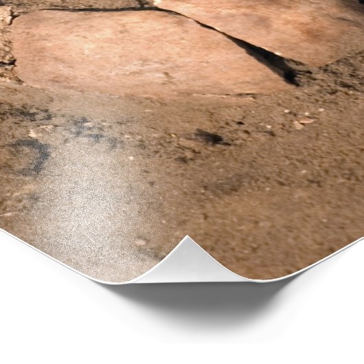 Menschliche Überreste Fotodruck (Ecke)