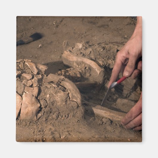 Menschliche Überreste Magnet (Vorne)