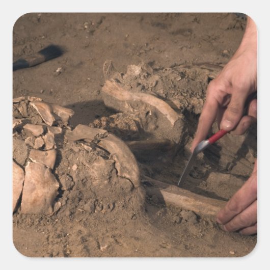 Menschliche Überreste Quadratischer Aufkleber (Vorderseite)