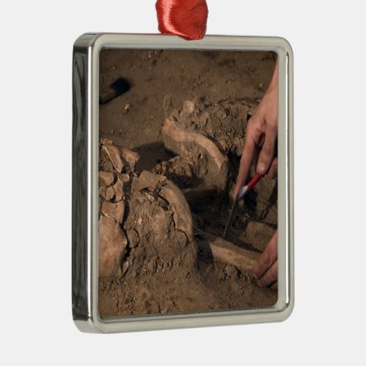 Menschliche Überreste Silbernes Ornament (Rechts)