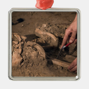 Menschliche Überreste Silbernes Ornament