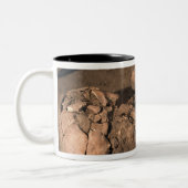 Menschliche Überreste Zweifarbige Tasse (Links)