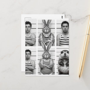 Menschliche und wilde Kriminelle Waldmurmeltier un Postkarte