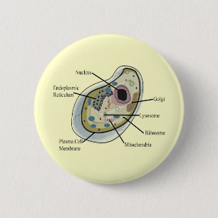 Menschliche Zellen-Biologie-T - Shirts Button