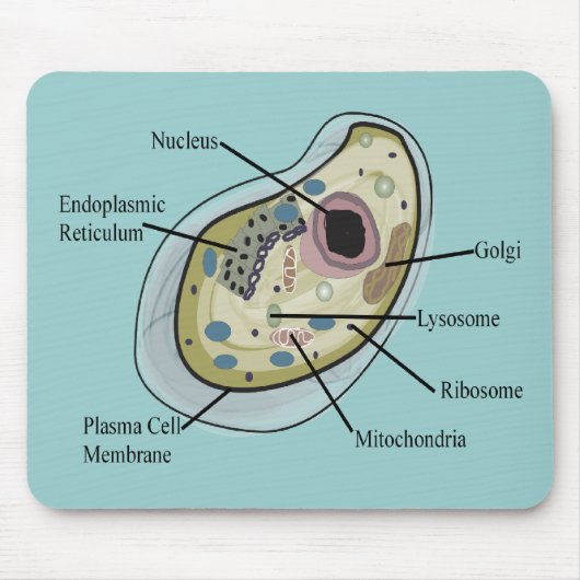 Menschliche Zellen-Biologie-T - Shirts Mousepad (Vorne)