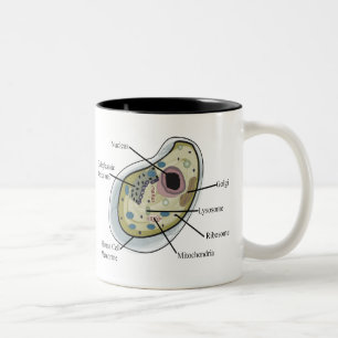 Menschliche Zellen-Biologie-T - Shirts Zweifarbige Tasse