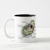 Menschliche Zellen-Biologie-T - Shirts Zweifarbige Tasse (Links)
