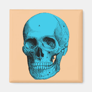 Menschlicher Anatomie-Schädel Magnet